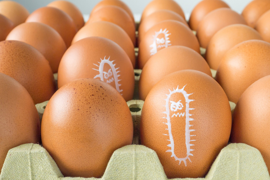 fot. shutterstock Salmonella i listeria wyzwaniami dla eksportu polskiej żywności