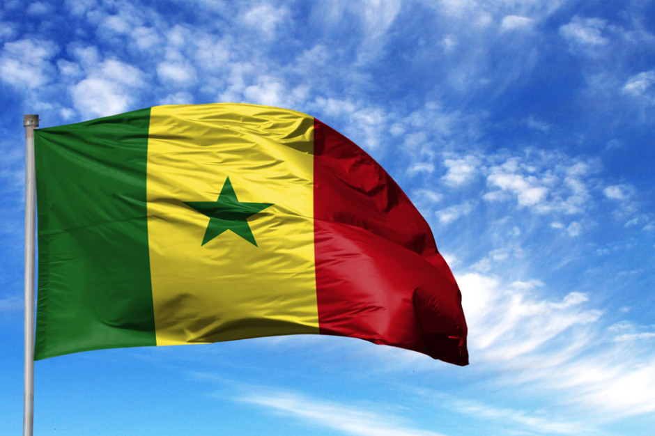 fot. Shutterstock PAIH: Wystartował Klub Polskiego Biznesu w Senegalu