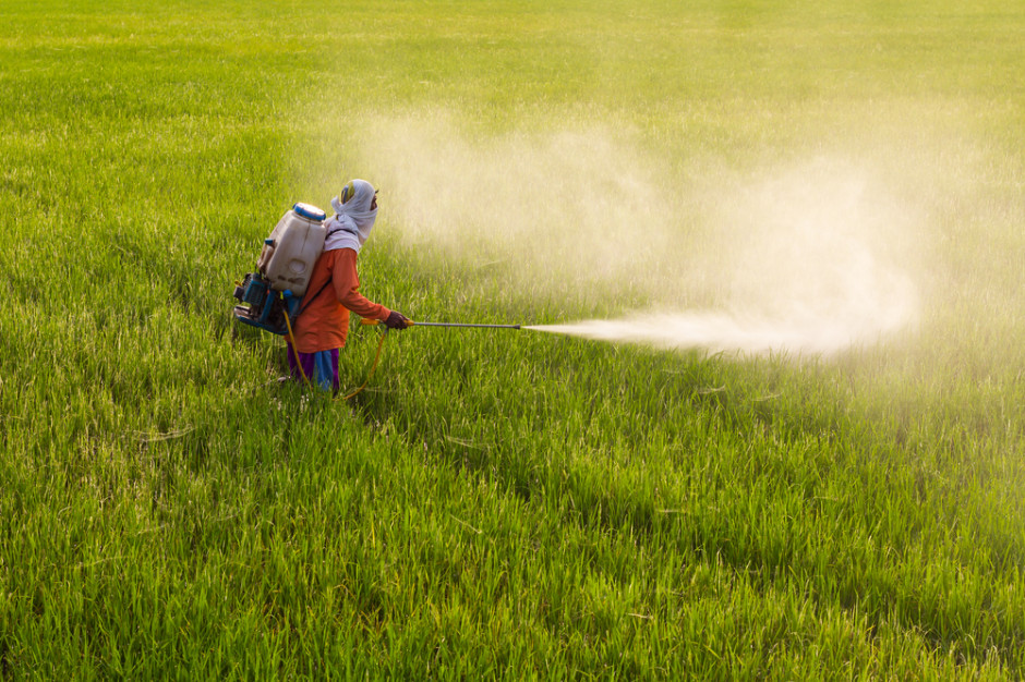 Pestycydy mogą niszczyć węch rolników