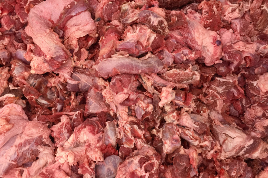 fot. Shutterstock Minister rolnictwa Francji: znaleziono prawie 800 kg mięsa chorych krów z Polski