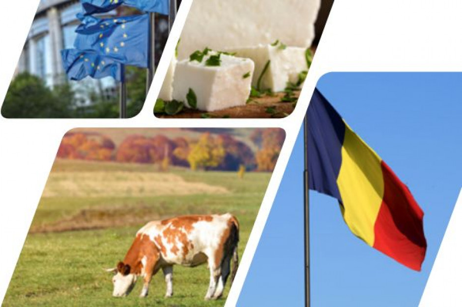 fot. za eda.euromilk.org EDA komentuje przejęcie prezydencji UE przez Rumunię