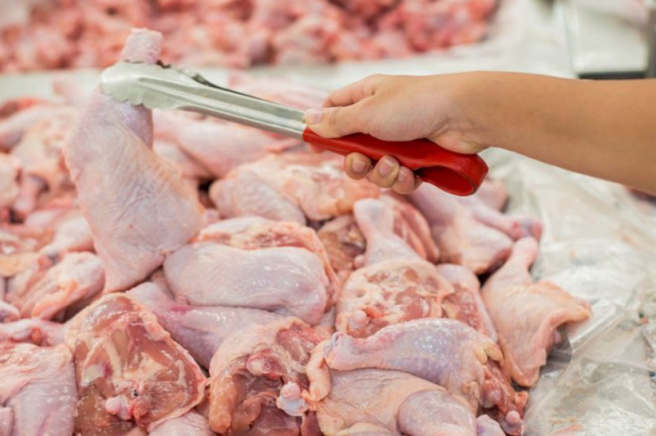 W Czechach znaleziono bakterie salmonelli w polskim mięsie drobiowym