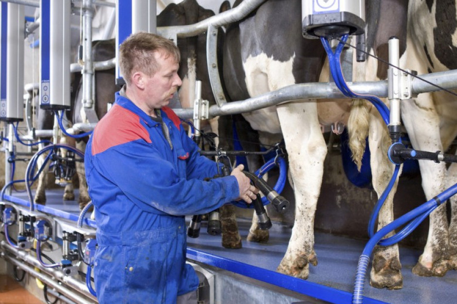 fot. farmer.pl Mleczna środa: Jakie są nastroje producentów mleka?