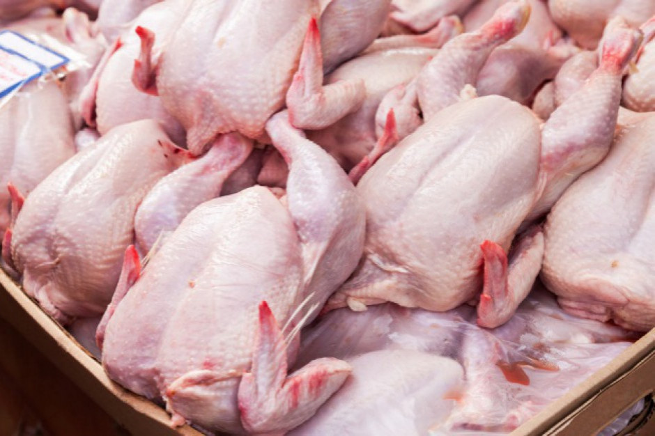 fot. Shutterstock Inspekcja Weterynaryjna: salmonella w drobiu pochodzącym ze Słowacji