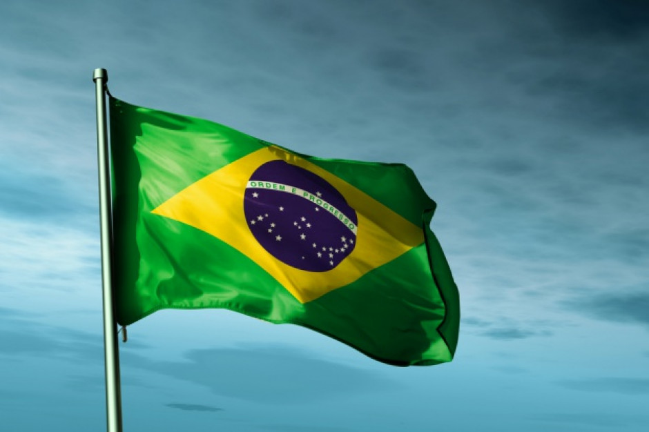 fot. shutterstock Brazylijskie drobiarstwo odzyskuje siły