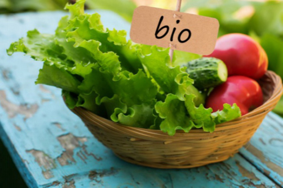 fot. shutterstock IMAS Agri: Polacy coraz więcej wiedzą o żywności ekologicznej