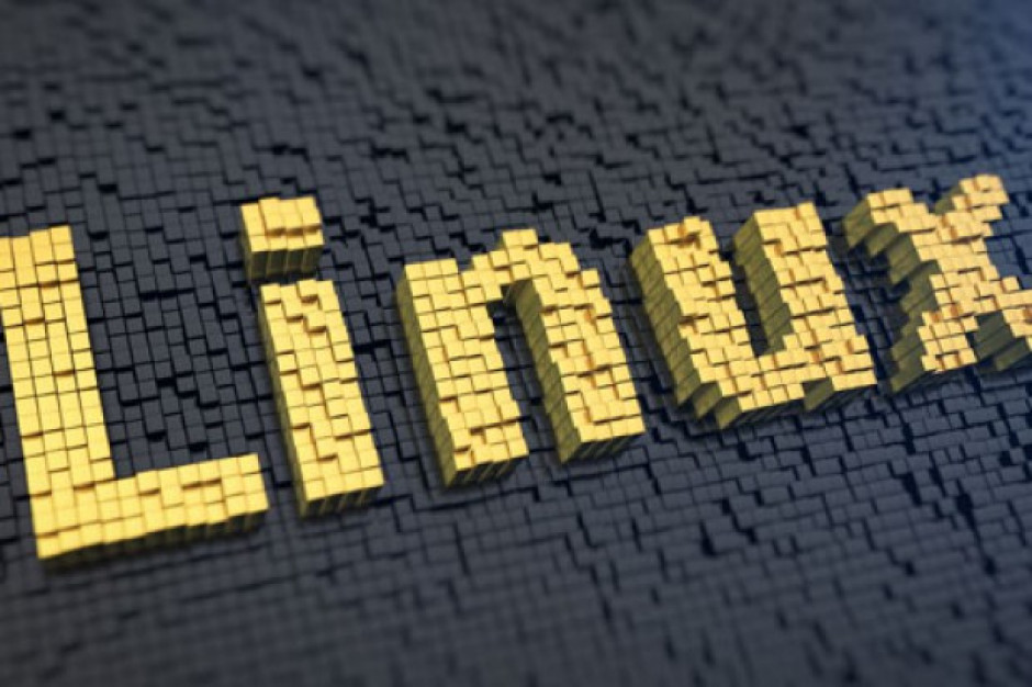 Linux Linux - otwarta perspektywa dla biznesu