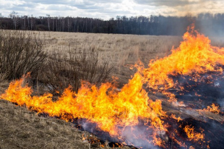 Podkarpackie: Ponad 1600 pożarów spowodowanych wypalaniem suchych traw