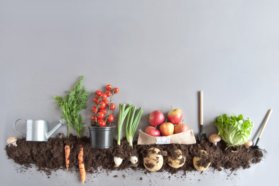 fot. shutterstock IMAS Agri: Co czwarty Polak utożsamia BIO żywność z produktami kupowanymi od rolnika