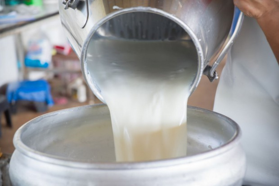 Cena mleka w lutym 2019 była wyższa niż przed rokiem