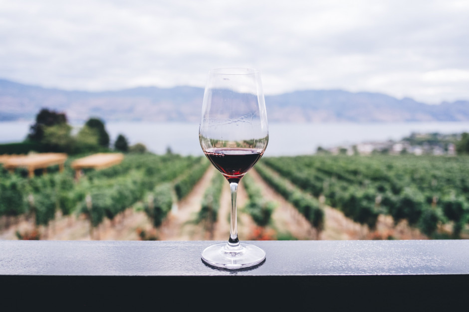 fot. unsplash.com GALICJA VITIS 2019 przyjmuje zgłoszenia