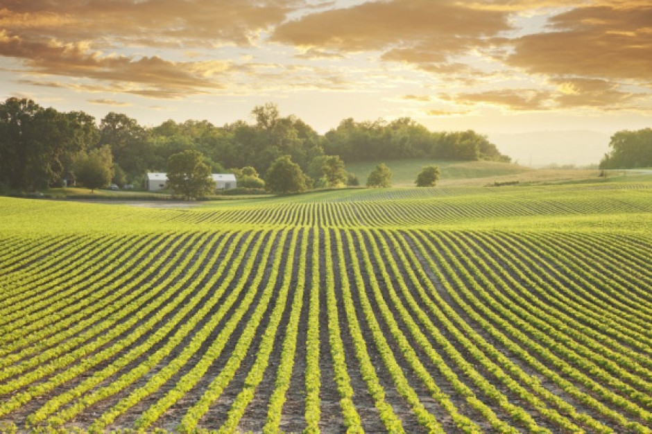 fot. shutterstock Dolnośląskie: Samorząd województwa przekaże 18 mln zł na ochronę gruntów rolnych