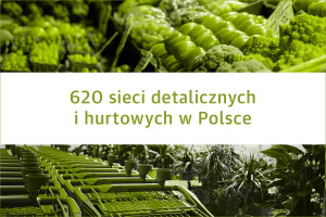 Lista 620 sieci detalicznych i hurtowych w Polsce - edycja 2019