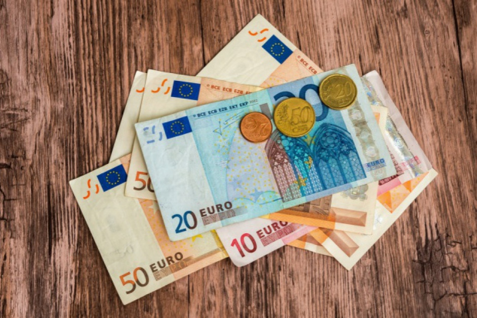 fot. Shutterstock Zmienne losy euro w Polsce