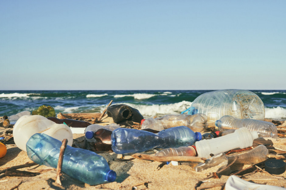 Fot. Shutterstock W Krakowie stanął automat wydający gotówkę za plastikowe butelki