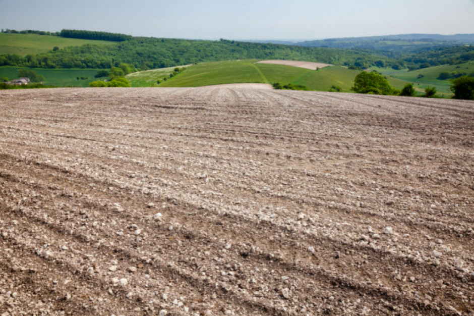 fot. shutterstock IERiGŻ: Brak opadów wzbudza niepokój o plony w rolnictwie