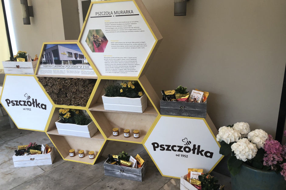 fot. materiały prasowe FC Pszczółka rozpoczęła akcję ratowania pszczół