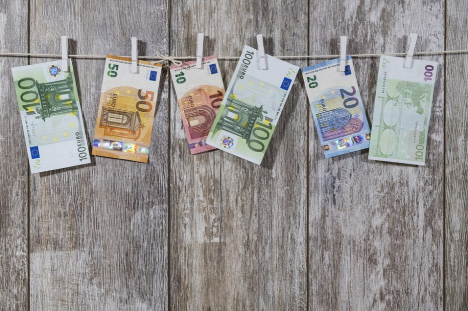 fot. pixabay.com Lewiatan: 54 proc. firm za przystąpieniem Polski do strefy euro