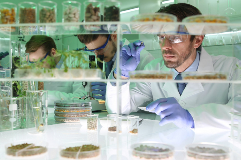 fot. shutterstock Finistere i trzy izraelskie firmy zainwestują 100 mln dolarów w branżę food tech