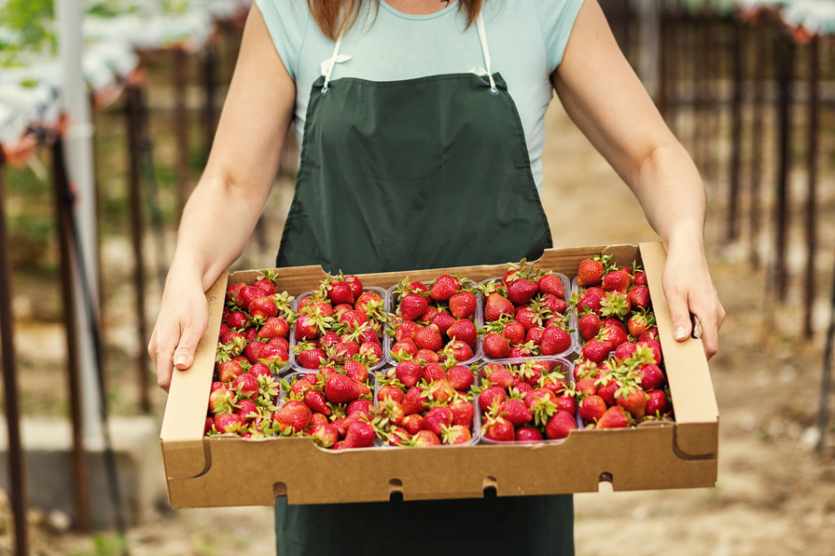 fot. shutterstock Carrefour: Chcemy, aby rolnicy sprzedawali część żywności bezpośrednio do naszych sklepów