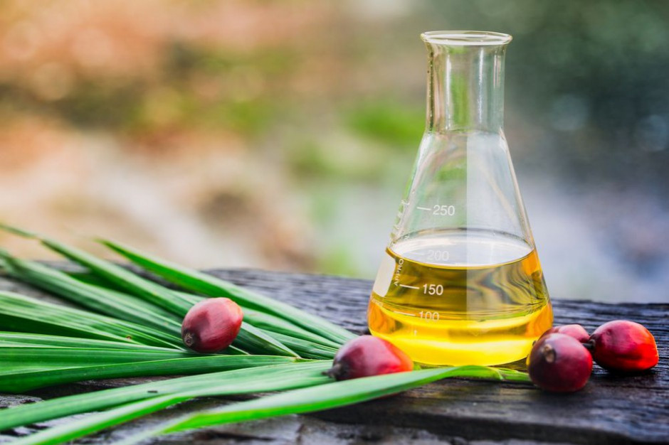 Fot. Shutterstock Powstaje pierwsza Polska Koalicja ds. Zrównoważonego Oleju Palmowego