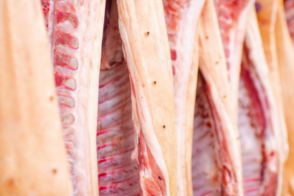 fot. shutterstock.com Rośnie popyt, maleje podaż - dobre warunki dla producentów wieprzowiny