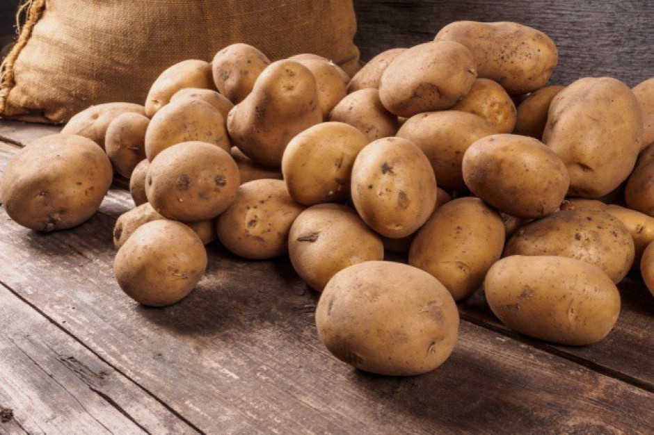 fot. shutterstock GUS: w maju ziemniaki na targowiskach droższe o 138 proc. niż rok temu