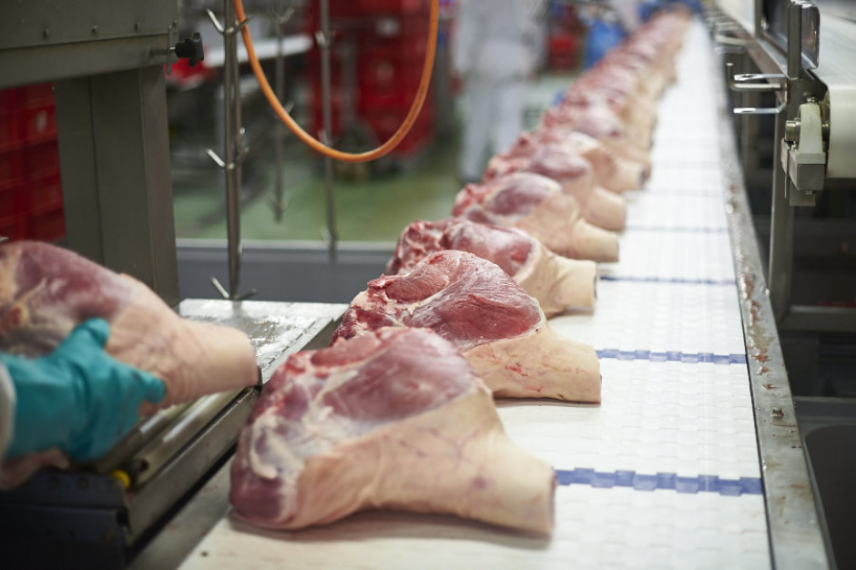 Zakład rozbiorowy Belgian Pork Group w Westrozebeke, fot. mat. pras. Belgijska branża wieprzowa: Dzięki dobrej selekcji jesteśmy atrakcyjni dla polskich odbiorców
