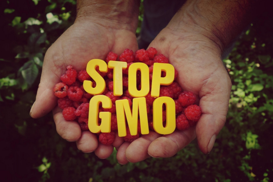 fot. shutterstock Bez poprawek do ustawy wprowadzającej oznakowanie produktów bez GMO