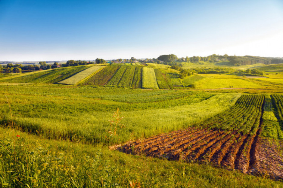 fot. shutterstock Prostszy handel ziemią