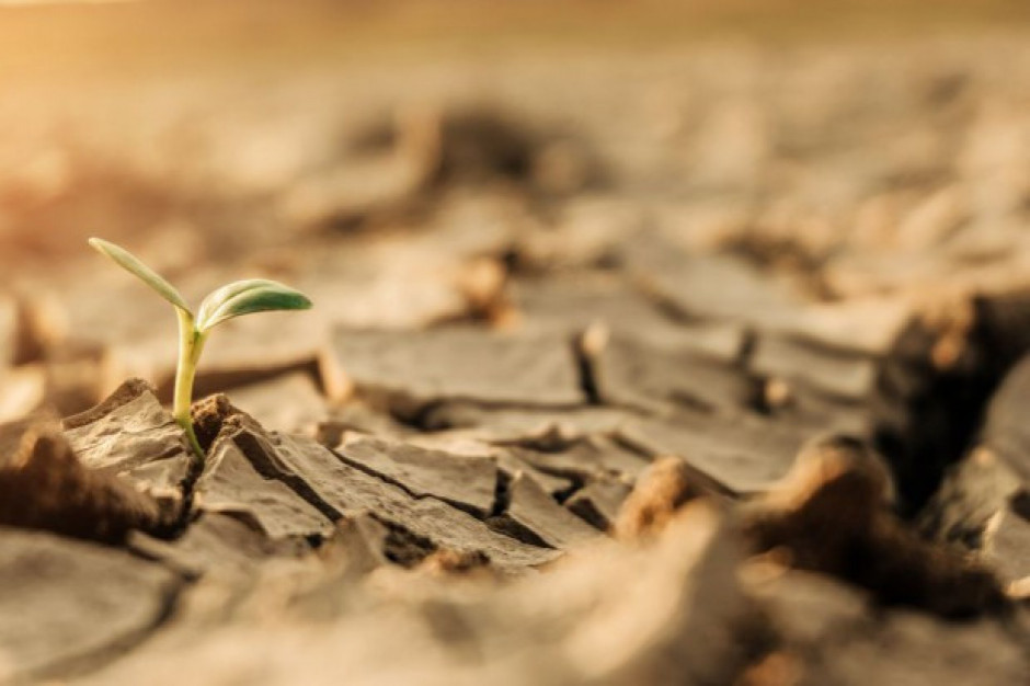 Fot. Shutterstock Koalicja Klimatyczna przedstawila rekomendacje dla gospodarki hydrologicznej