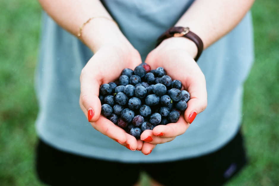 fot. unsplash.com Lidl rozwija współpracę z plantatorami borówki w Polsce