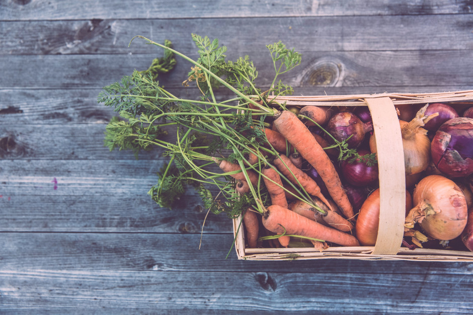 fot. unsplash.com Łukasz Gębka, Farma Świętokrzyska: Rolnictwo ekologiczne to rolnictwo przyszłości