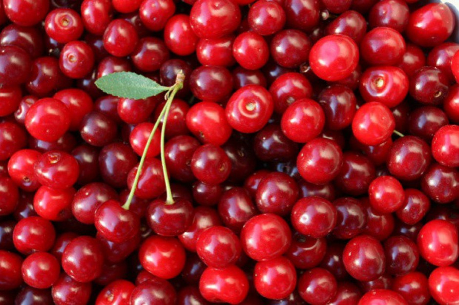 fot. shutterstock Producenci owoców sygnalizują nieprawidłowości w punktach skupu