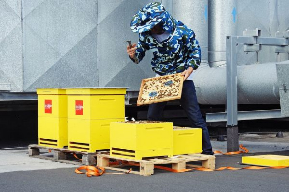 fot. materiały prasowe Pasieka na dachu w kieleckiej Galerii Echo