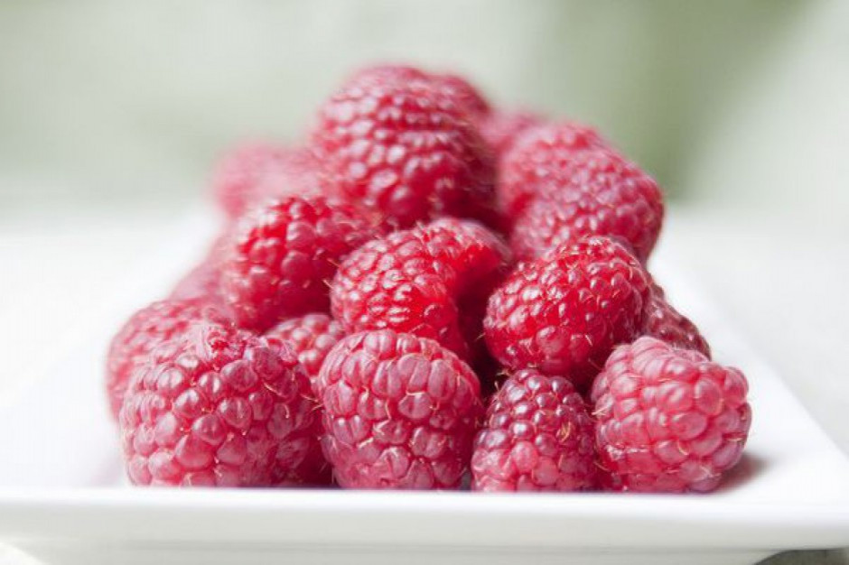 fot. shutterstock Polska drugim producentem malin w Europie