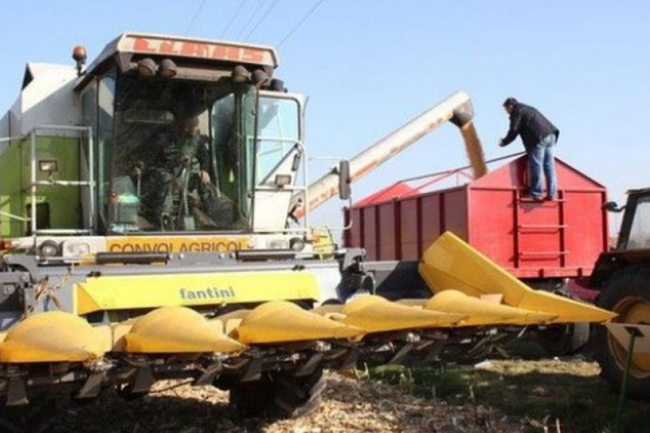 fot. farmer.pl Izba Zbożowo-Paszowa: Słaby handel ziarnem z ubiegłorocznych zbiorów
