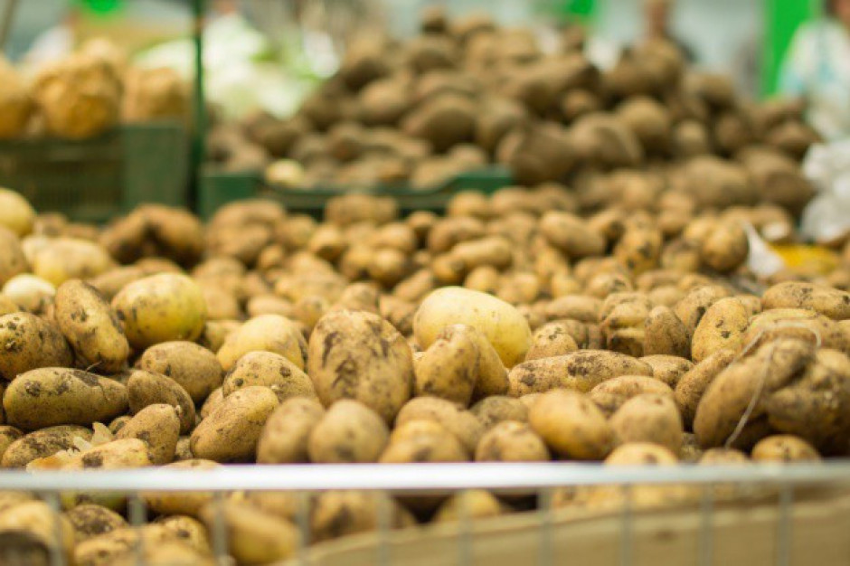 fot. shutterstock IERiGŻ: Nie będzie niedoborów ziemniaków, jak w sezonie 2018/19
