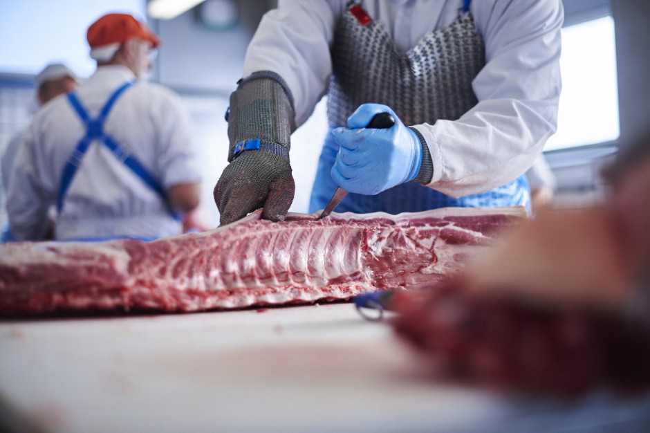 Fot. mat. pras. Belgian Pork Group: Pojawienie się ASF wymusiło zmianę naszej strategii