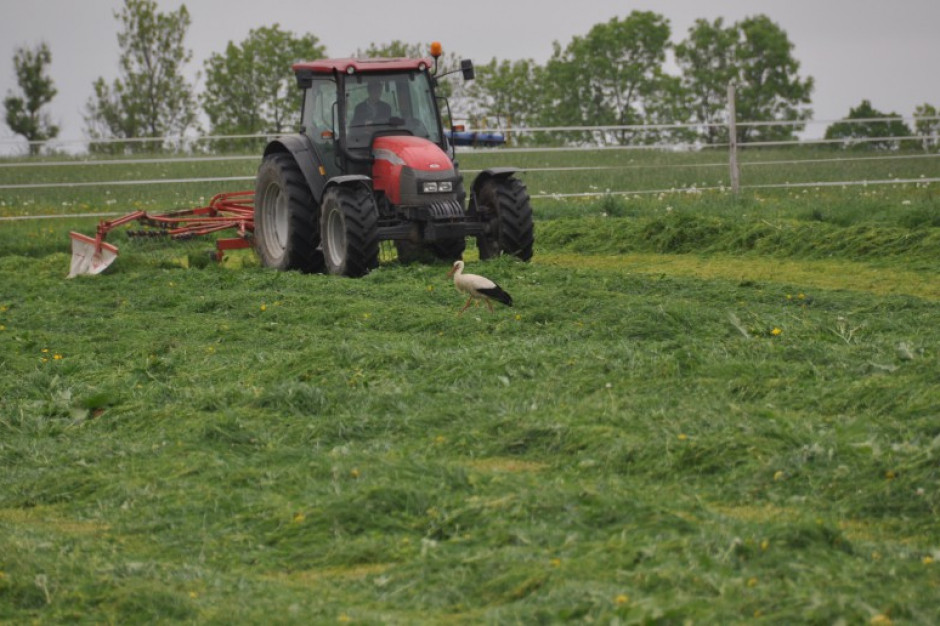 fot. farmer.pl MRiRW: do 2 września br. można składać wnioski o zwrot podatku akcyzowego
