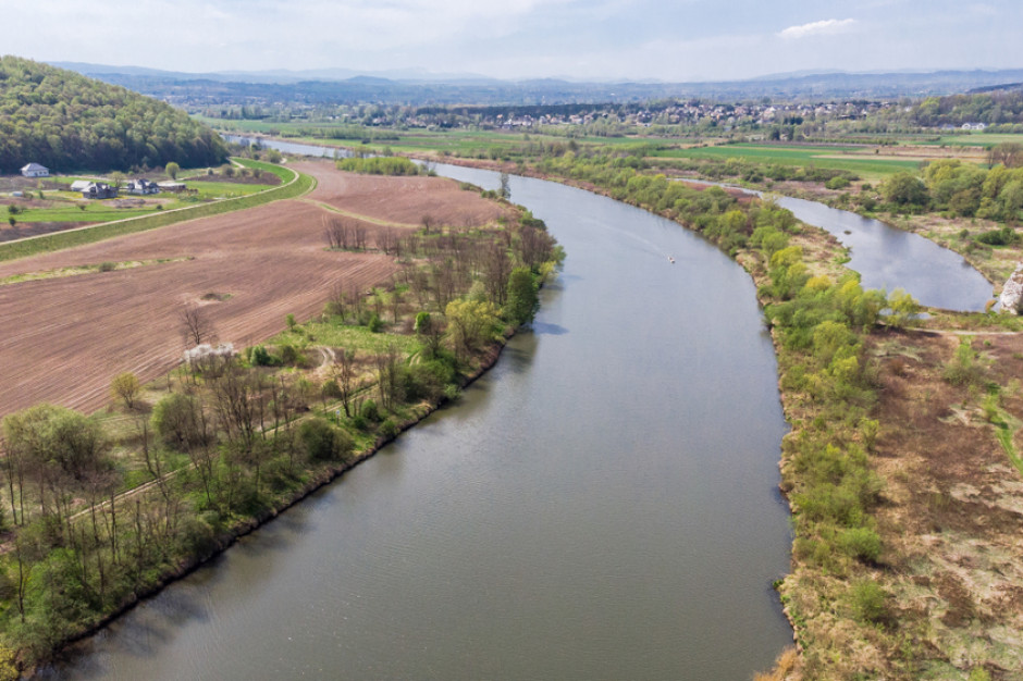 fot. shutterstock Ruszają prace związane z odtworzeniem szlaków wędrówek ryb w Wiśle