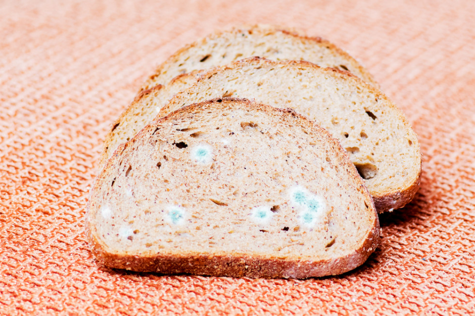 fot. shutterstock Polacy najczęściej wyrzucają pieczywo i owoce