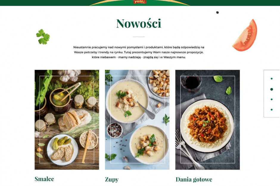 fot. mat. pras. Profi z odświeżonym logo i nową stroną internetową