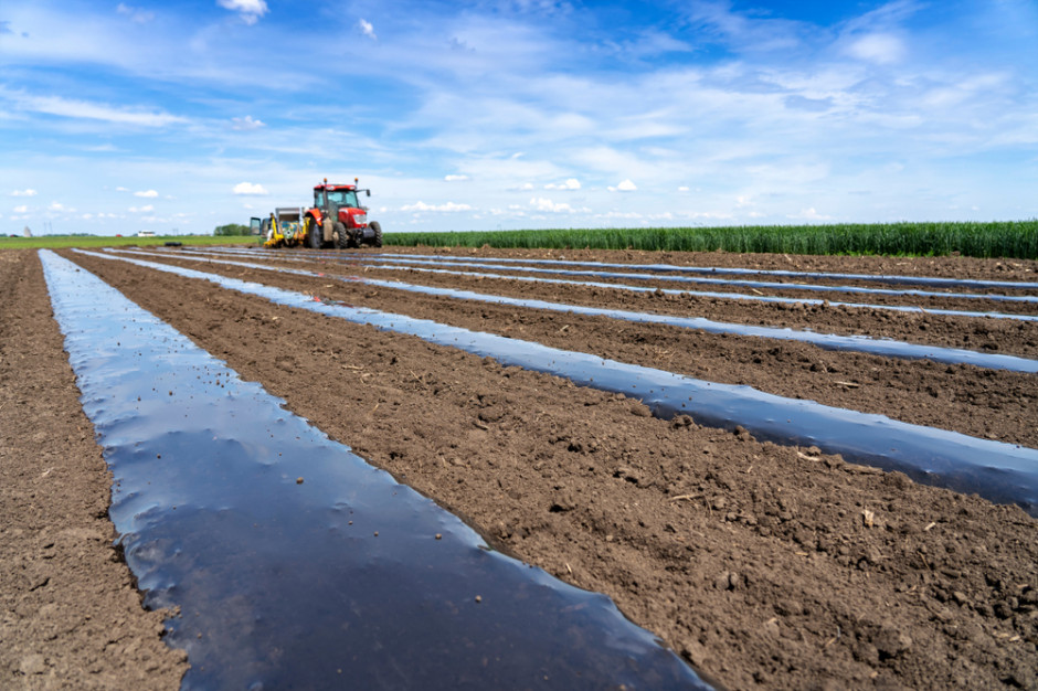 fot. shutterstock 100 mln zł dla gmin m.in. na utylizację folii i innych odpadów z gospodarstw rolnych