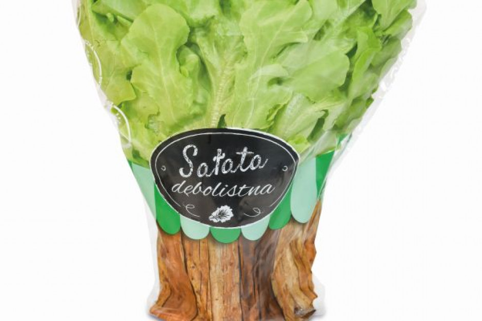 fot. materiały prasowe Netto wycofuje plastikowe doniczki na sałatę