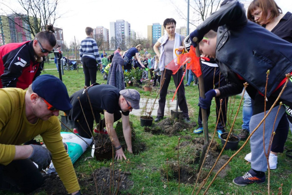 fot. materiały prasowe Aldi razem z Klubem Gaja zasadzą 2800 drzew
