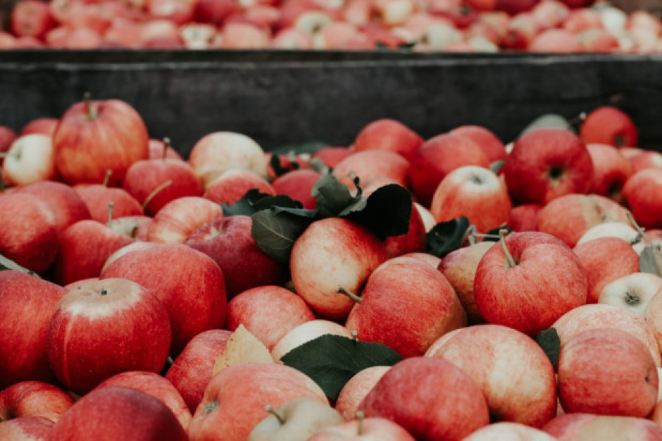 fot. unsplash Bronisze: Ceny krajowych jabłek są nadal wysokie