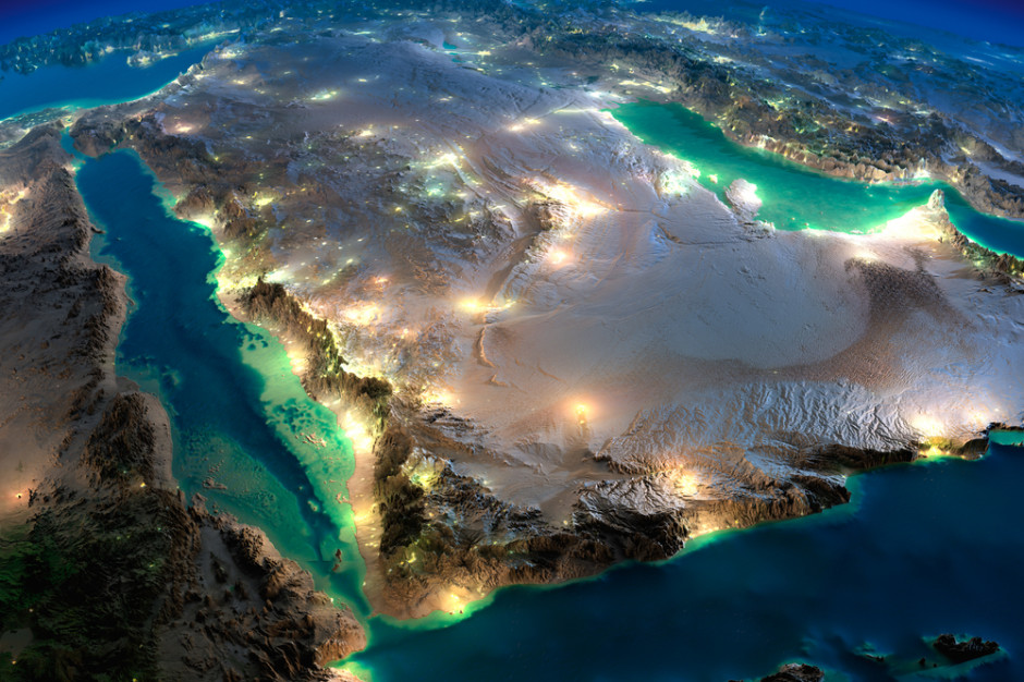 fot. shutterstock Brazylijczycy uruchomią pierwszą przetwórnię drobiu w Arabii Saudyjskiej