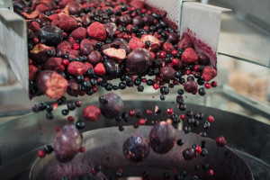 Zdjęcie numer 1 - galeria: Maszyny Ishida Europe usprawniają procesy produkcyjne w polskim przetwórstwie warzyw i owoców 