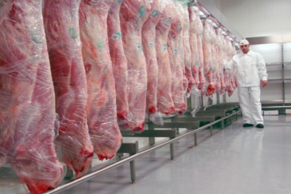 fot. shutterstock ASF: Ukraina wstrzymała import wieprzowiny z woj. lubuskiego